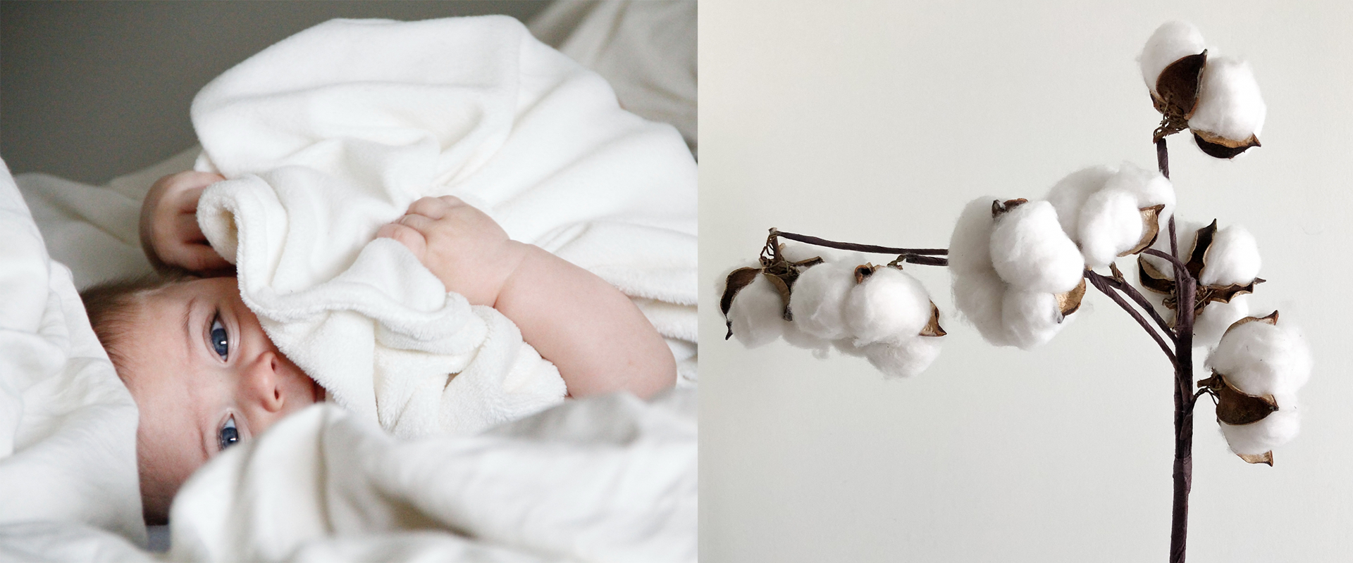 肌にやさしいコットン(綿)